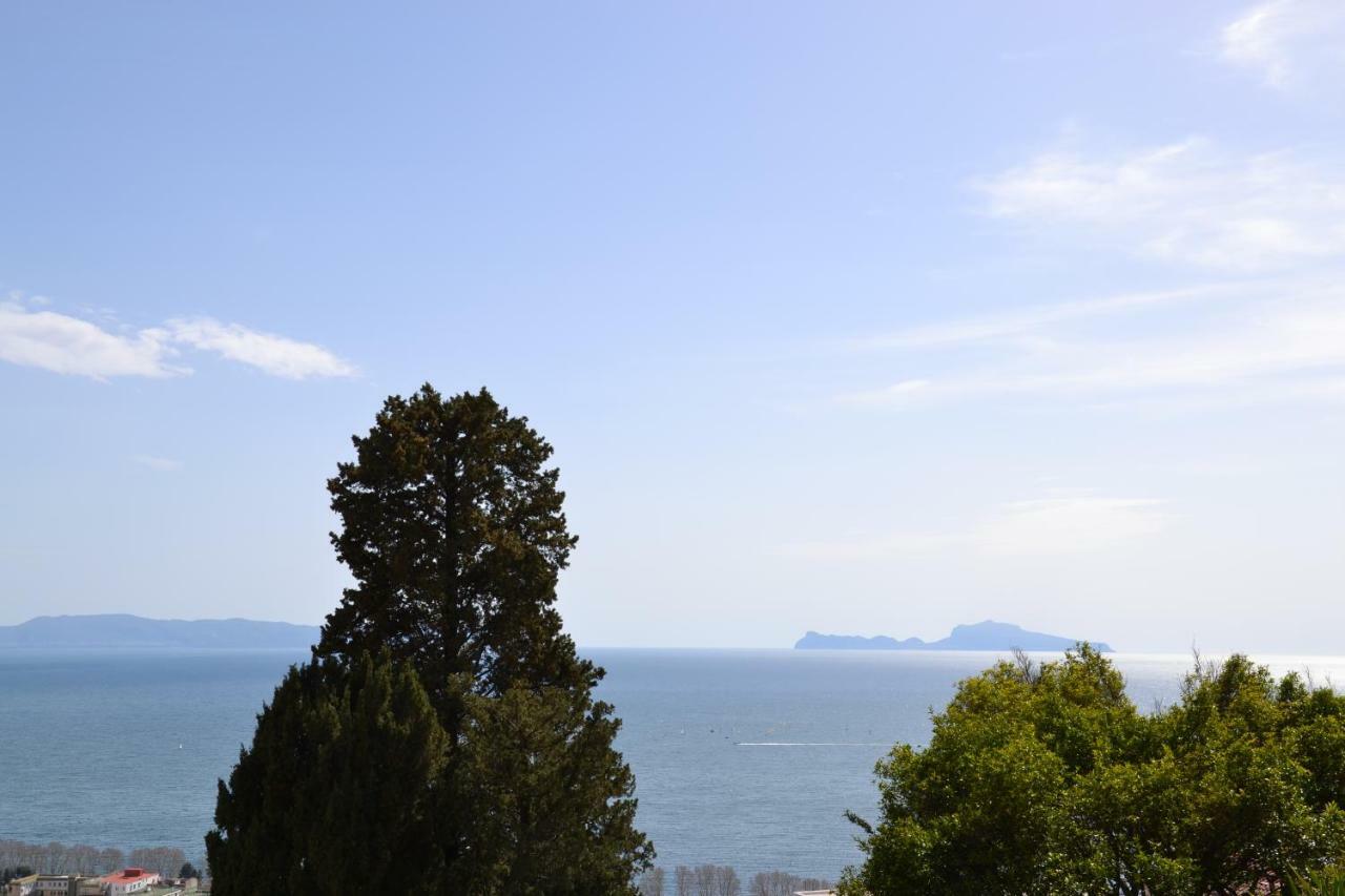 Casa Del Cedro Διαμέρισμα Νάπολη Εξωτερικό φωτογραφία